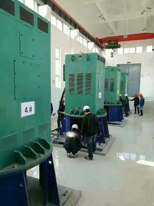 国营阳江农场某污水处理厂使用我厂的立式高压电机安装现场