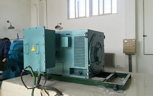 国营阳江农场某水电站工程主水泵使用我公司高压电机