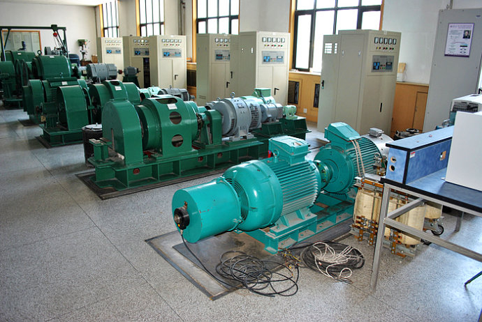 国营阳江农场某热电厂使用我厂的YKK高压电机提供动力